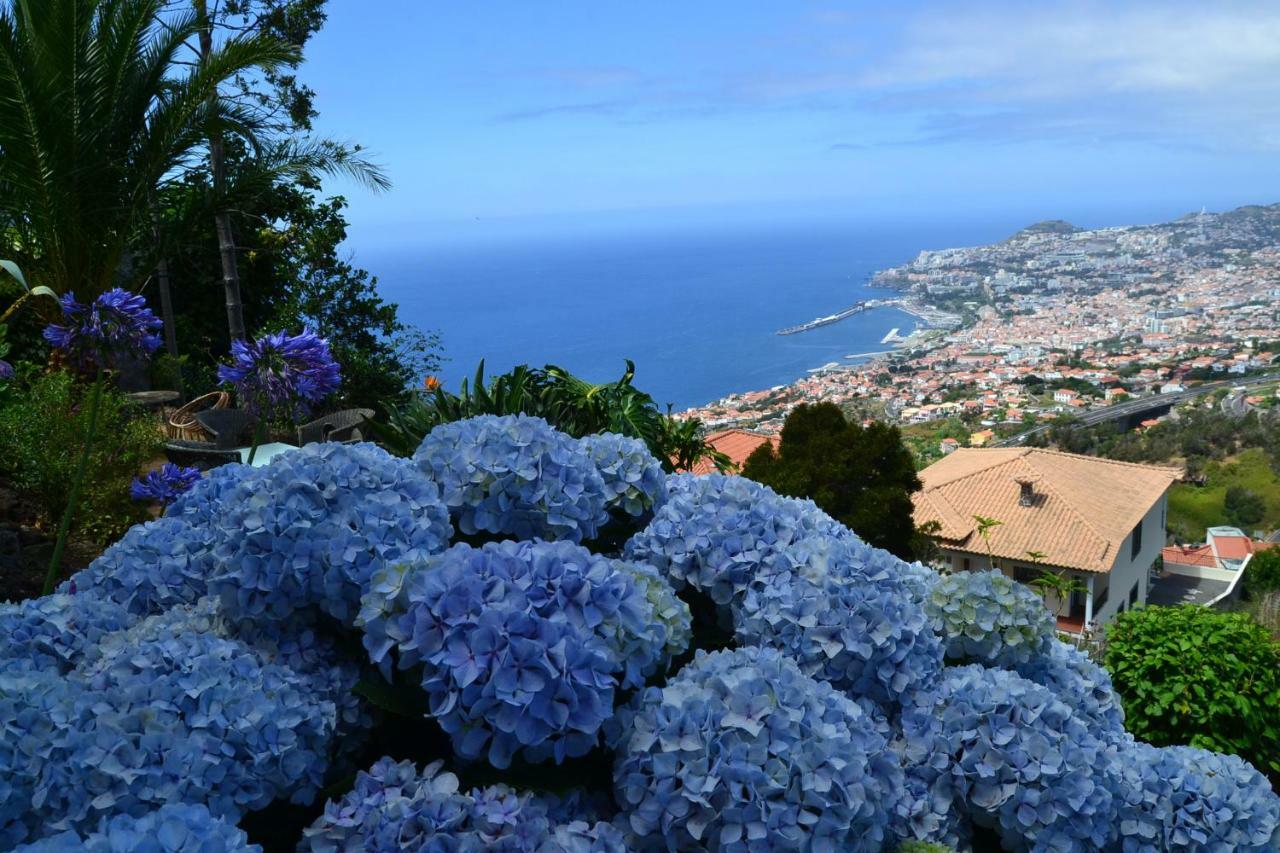 Holiday House 4 You Villa Funchal  Exterior photo